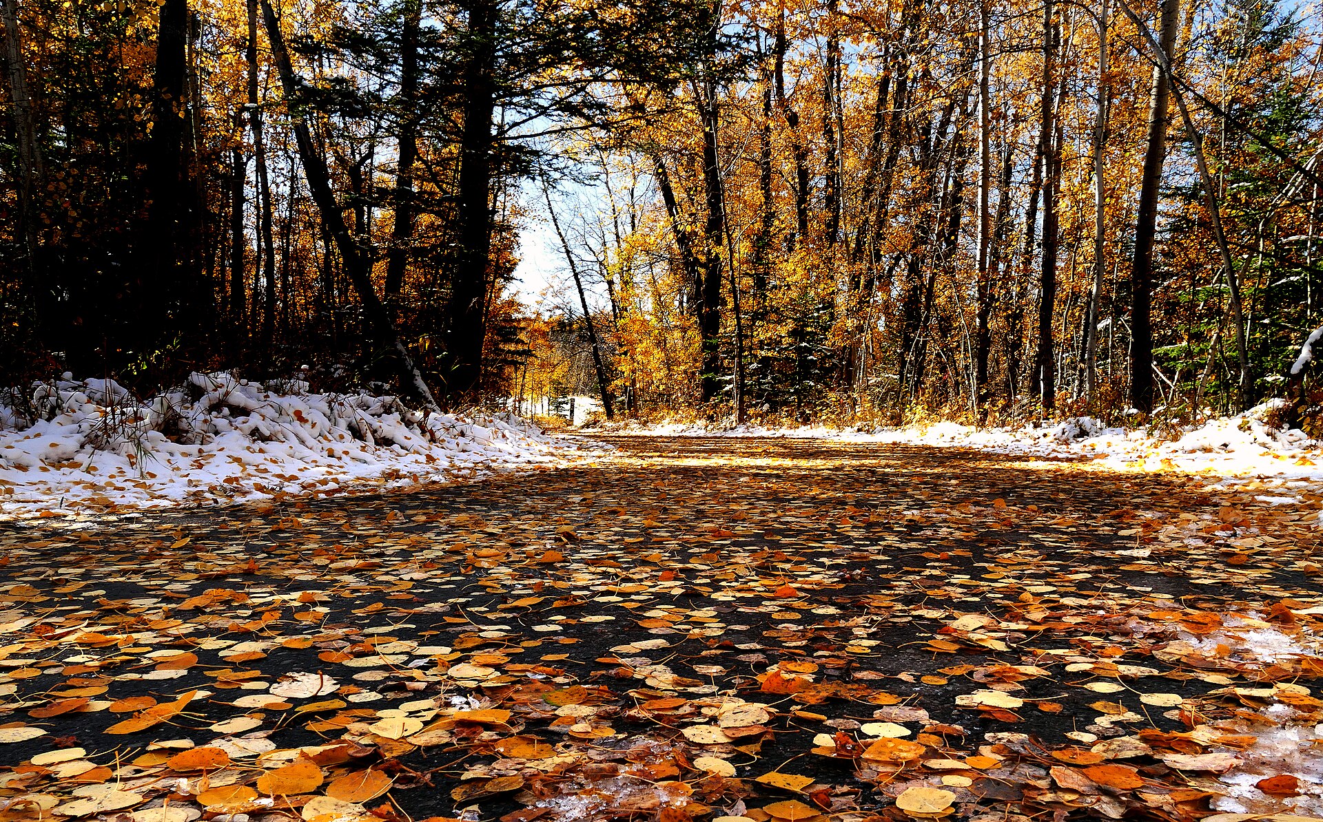 Lake Sundance