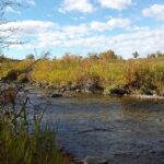 Fish Creek winding through autumn grasses in south Calgary