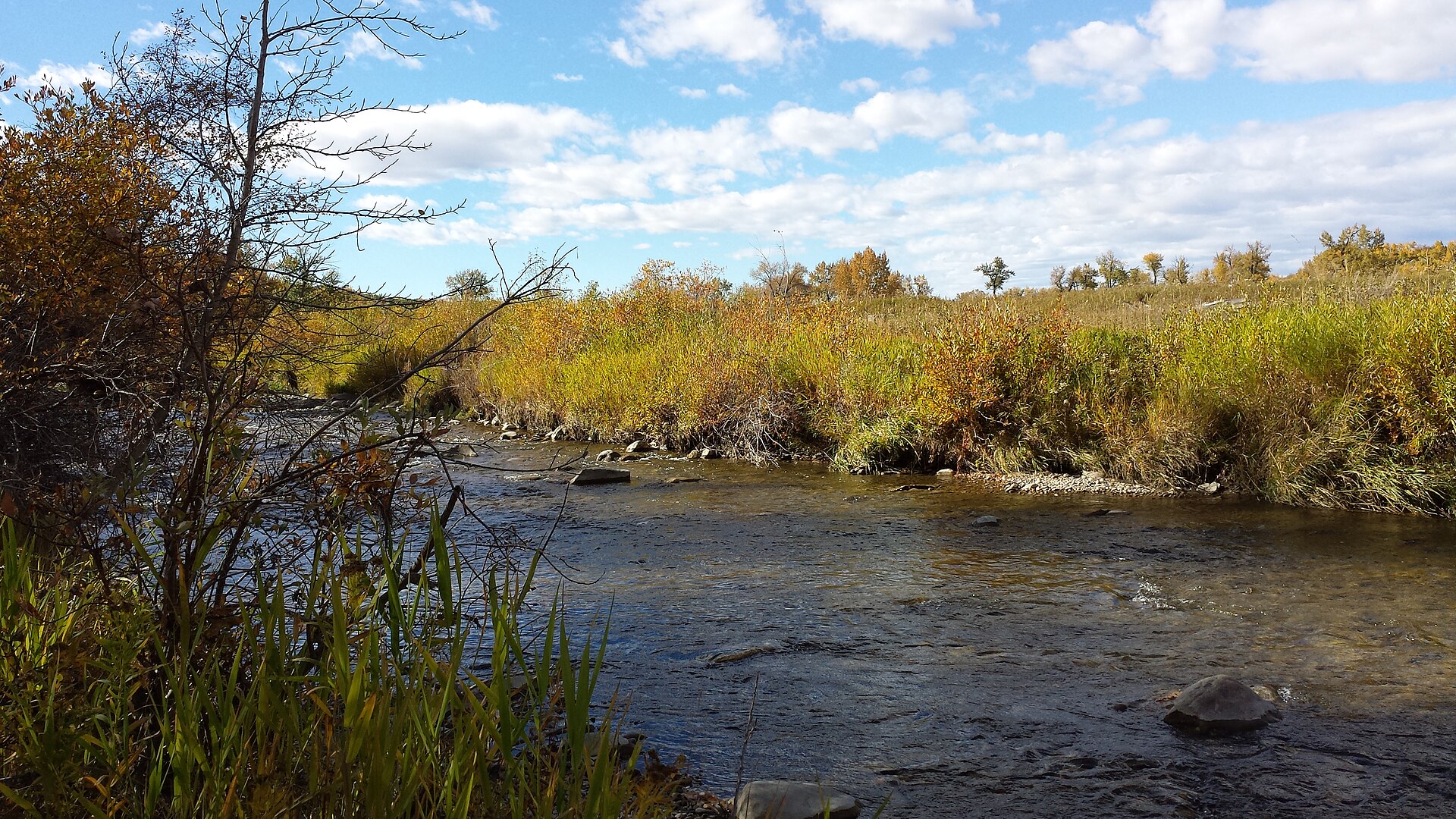 McKenzie Lake