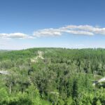 The green valley of Fish Creek Provincial Park in summer