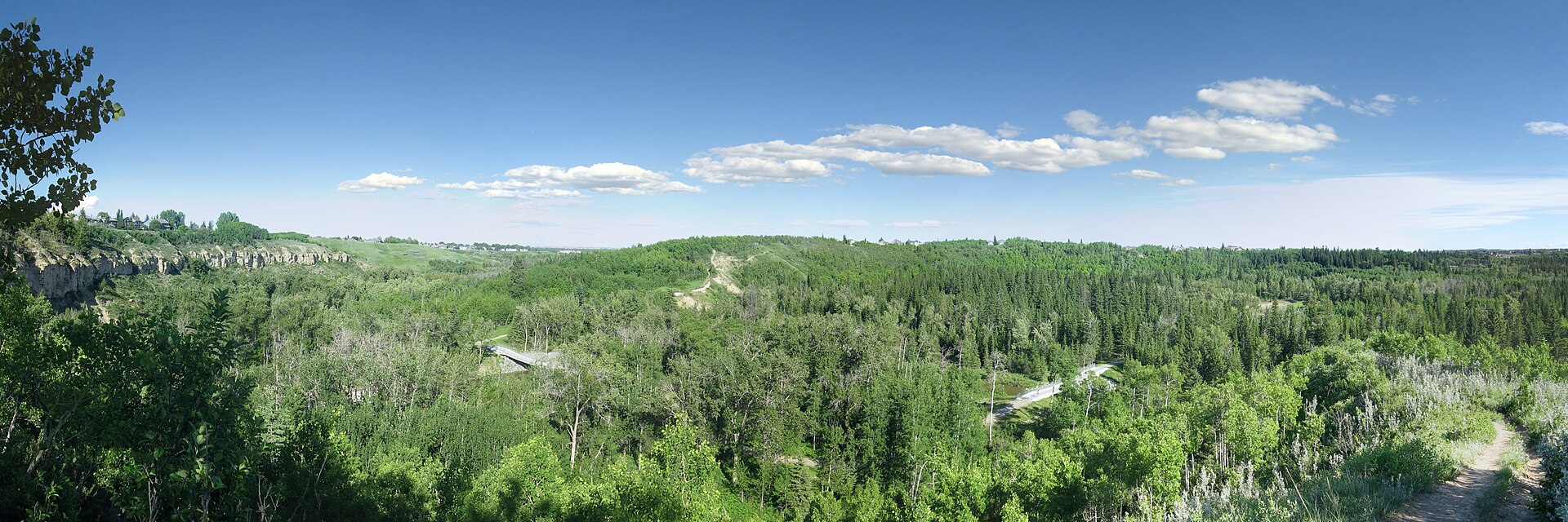 The green valley of Fish Creek Provincial Park in summer